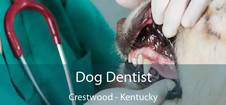 Dog Dentist Crestwood - Kentucky