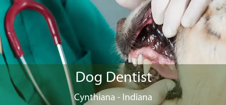 Dog Dentist Cynthiana - Indiana