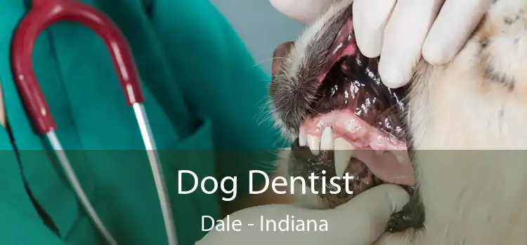 Dog Dentist Dale - Indiana