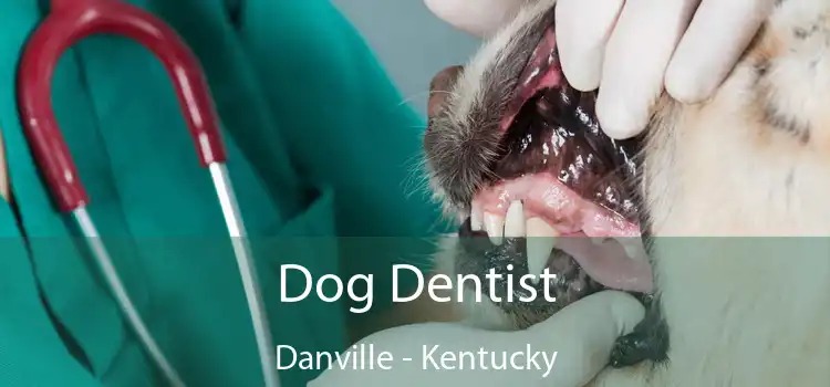 Dog Dentist Danville - Kentucky