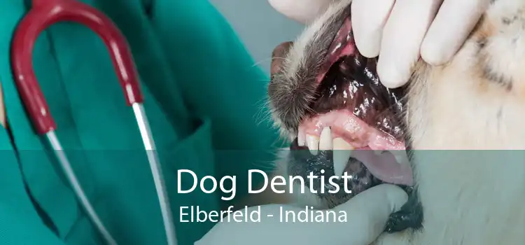 Dog Dentist Elberfeld - Indiana