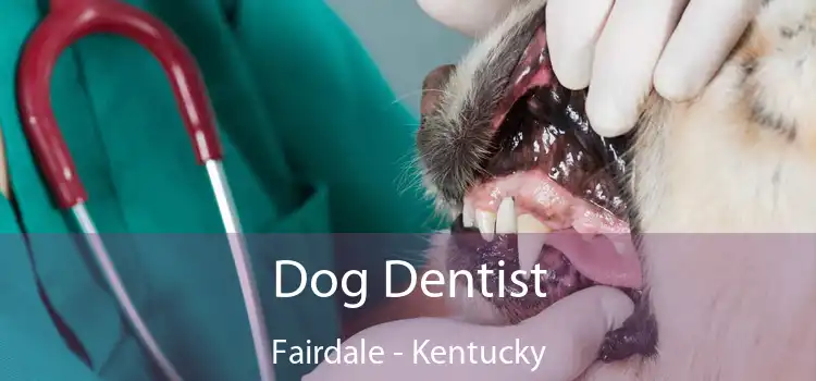 Dog Dentist Fairdale - Kentucky