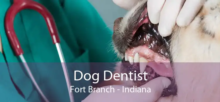Dog Dentist Fort Branch - Indiana