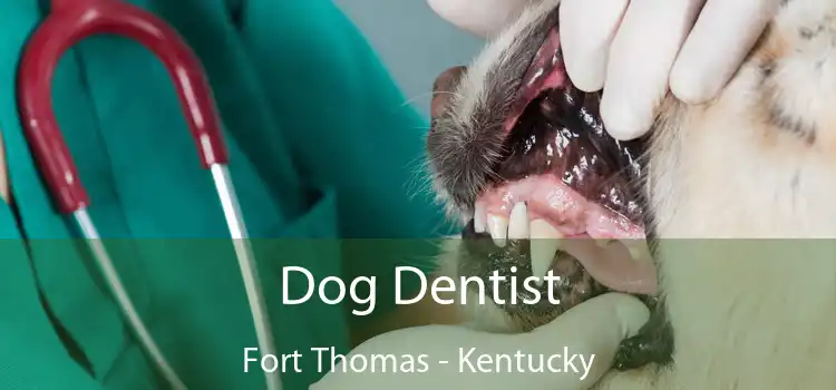 Dog Dentist Fort Thomas - Kentucky