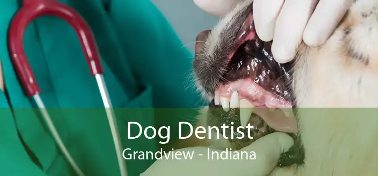 Dog Dentist Grandview - Indiana