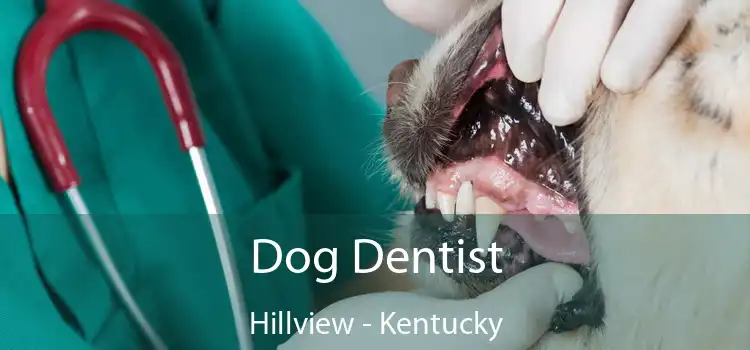 Dog Dentist Hillview - Kentucky