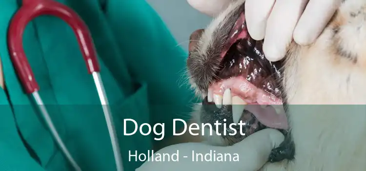 Dog Dentist Holland - Indiana