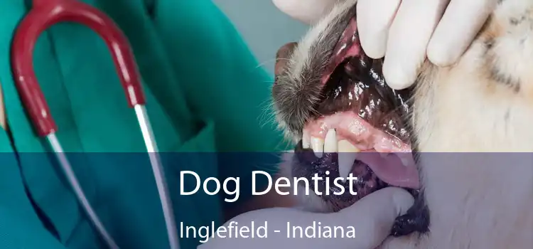 Dog Dentist Inglefield - Indiana