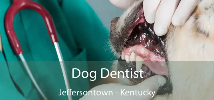 Dog Dentist Jeffersontown - Kentucky