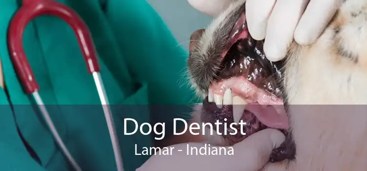 Dog Dentist Lamar - Indiana