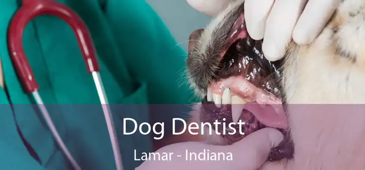 Dog Dentist Lamar - Indiana