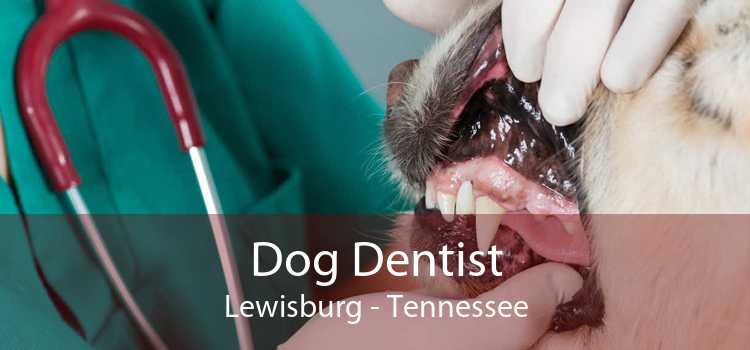 Dog Dentist Lewisburg - Tennessee