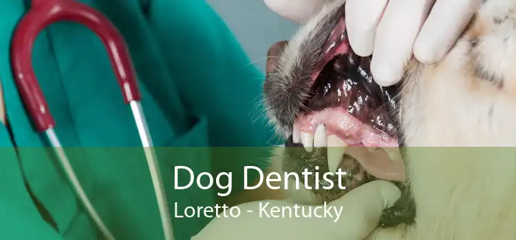 Dog Dentist Loretto - Kentucky