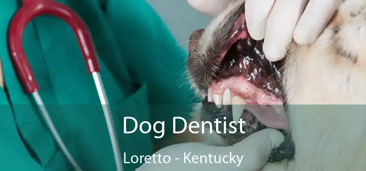 Dog Dentist Loretto - Kentucky