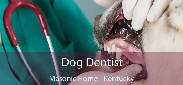 Dog Dentist Masonic Home - Kentucky