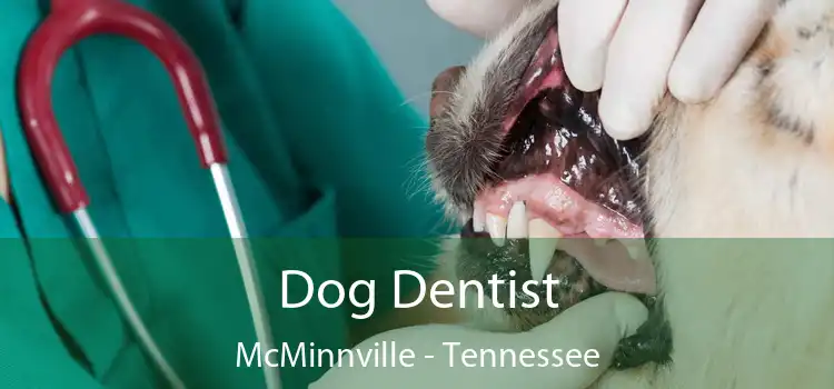 Dog Dentist McMinnville - Tennessee