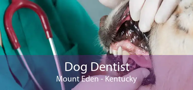 Dog Dentist Mount Eden - Kentucky