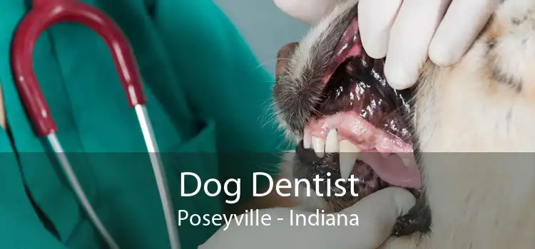 Dog Dentist Poseyville - Indiana
