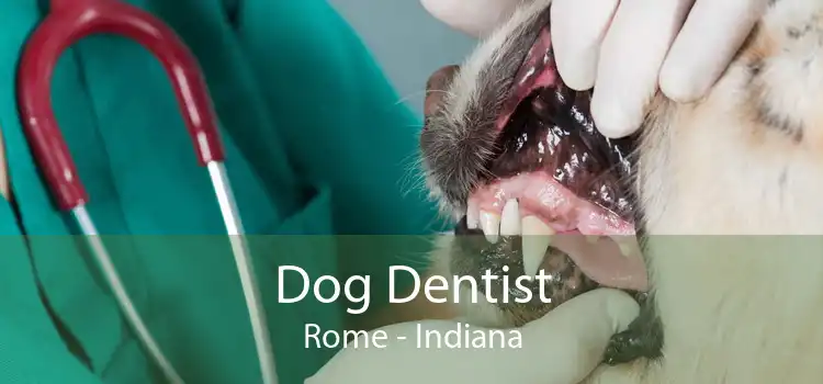 Dog Dentist Rome - Indiana