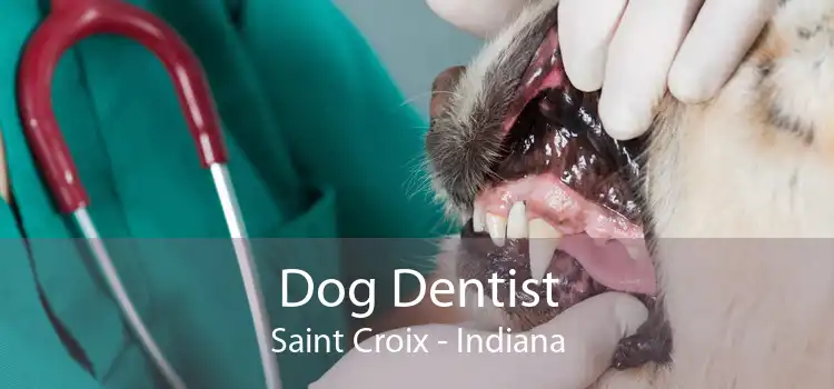 Dog Dentist Saint Croix - Indiana