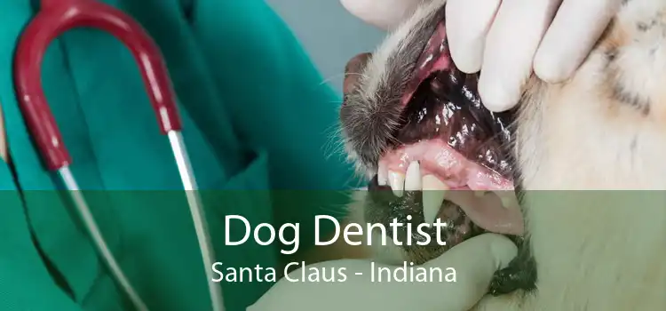 Dog Dentist Santa Claus - Indiana