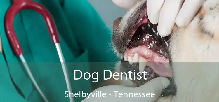 Dog Dentist Shelbyville - Tennessee