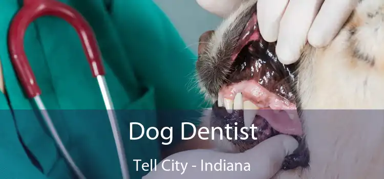 Dog Dentist Tell City - Indiana