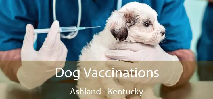 Dog Vaccinations Ashland - Kentucky