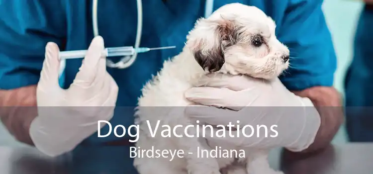 Dog Vaccinations Birdseye - Indiana