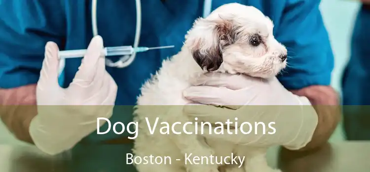 Dog Vaccinations Boston - Kentucky