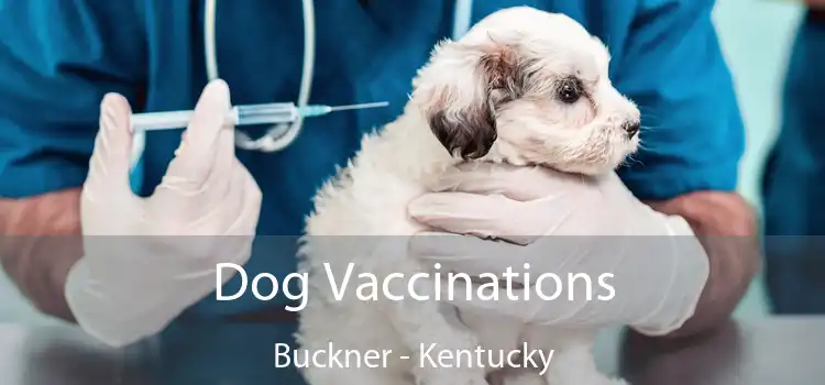 Dog Vaccinations Buckner - Kentucky