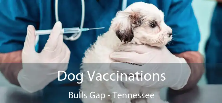 Dog Vaccinations Bulls Gap - Tennessee