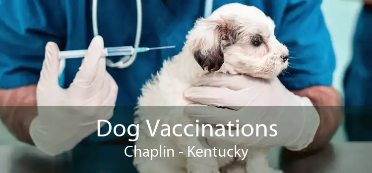 Dog Vaccinations Chaplin - Kentucky