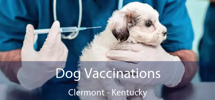 Dog Vaccinations Clermont - Kentucky