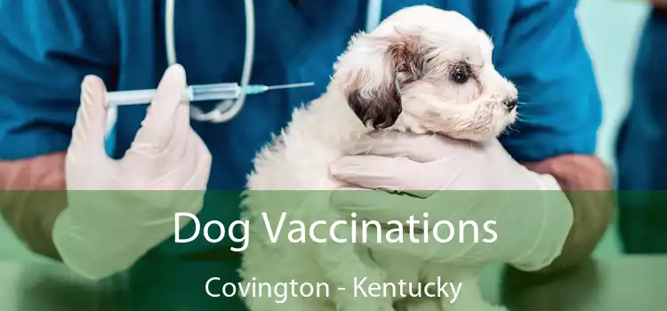 Dog Vaccinations Covington - Kentucky