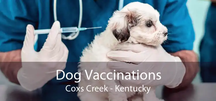 Dog Vaccinations Coxs Creek - Kentucky