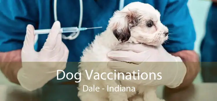 Dog Vaccinations Dale - Indiana