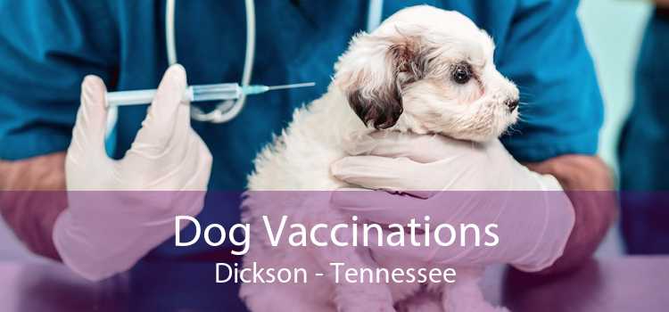 Dog Vaccinations Dickson - Tennessee
