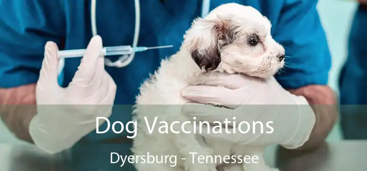 Dog Vaccinations Dyersburg - Tennessee