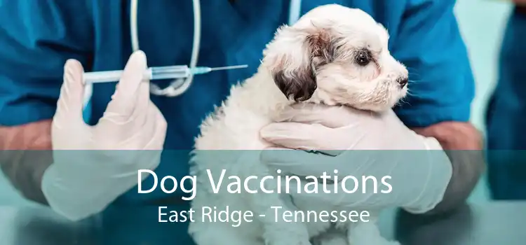 Dog Vaccinations East Ridge - Tennessee