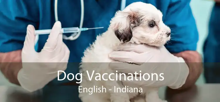 Dog Vaccinations English - Indiana