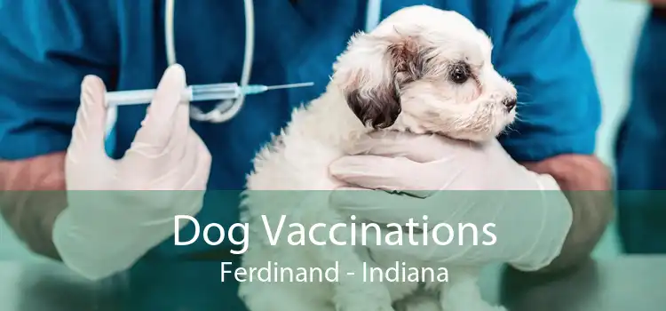 Dog Vaccinations Ferdinand - Indiana