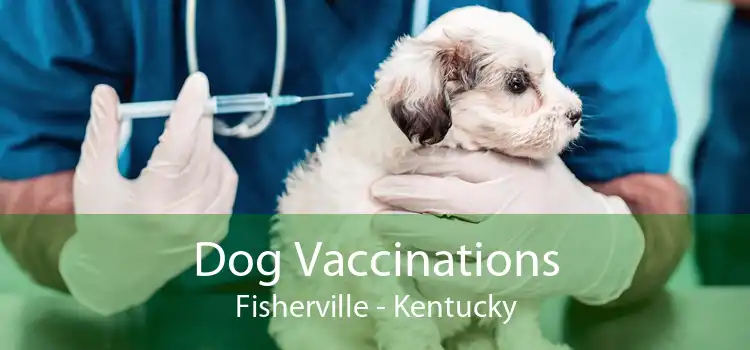 Dog Vaccinations Fisherville - Kentucky