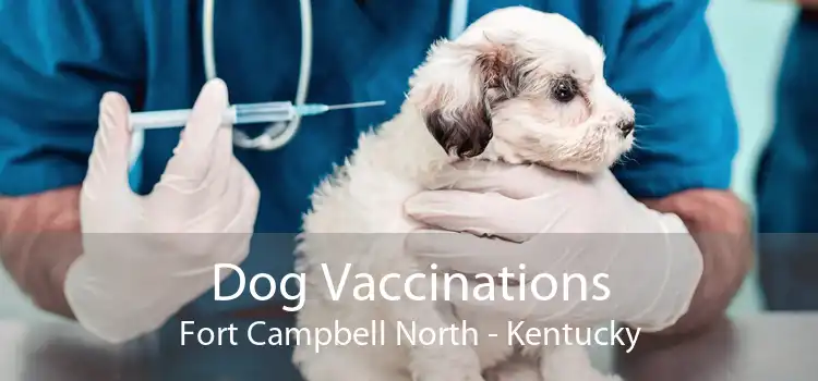 Dog Vaccinations Fort Campbell North - Kentucky