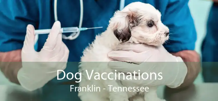 Dog Vaccinations Franklin - Tennessee