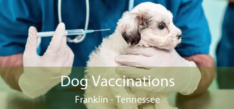 Dog Vaccinations Franklin - Tennessee