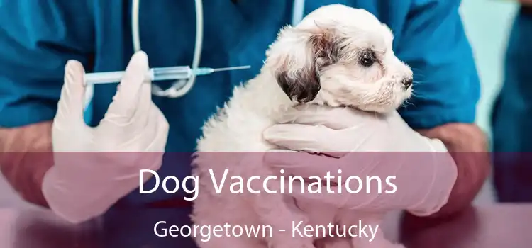 Dog Vaccinations Georgetown - Kentucky