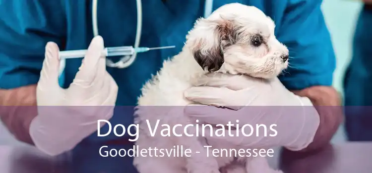 Dog Vaccinations Goodlettsville - Tennessee