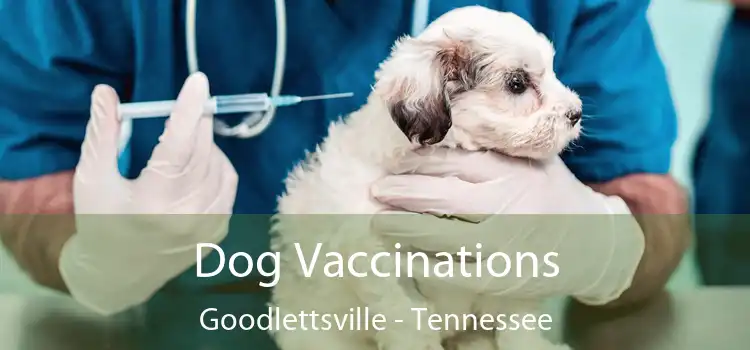 Dog Vaccinations Goodlettsville - Tennessee