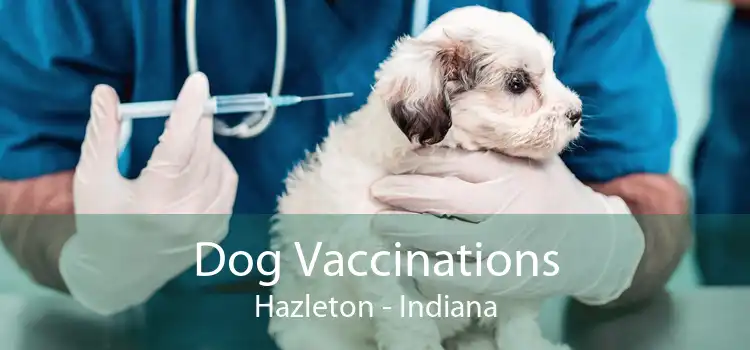 Dog Vaccinations Hazleton - Indiana